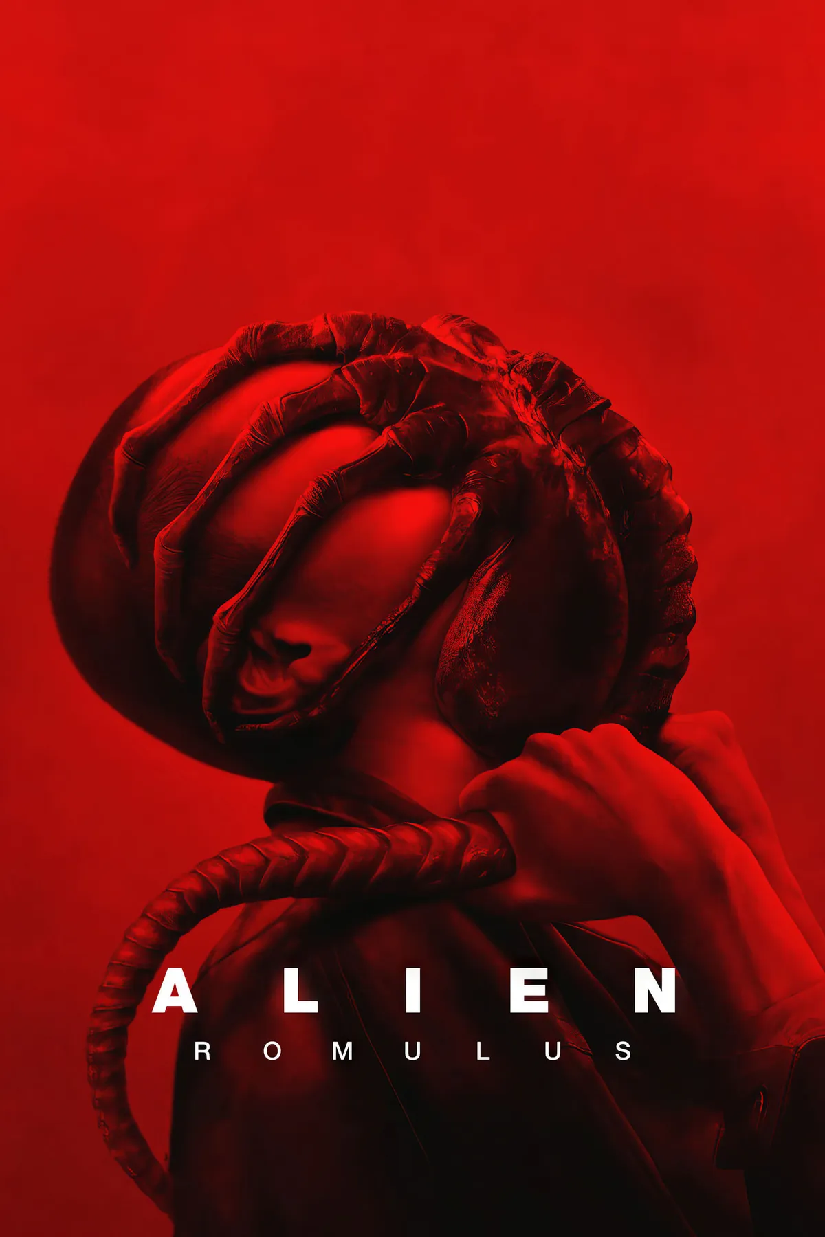 Ver Alien Romulus Pelicula Completa ⭐ (alienromuluspeliculastzy